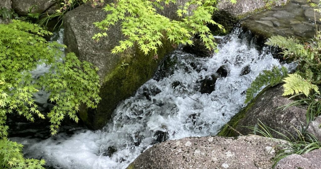 事業内容 株式会社エーシーディーシー